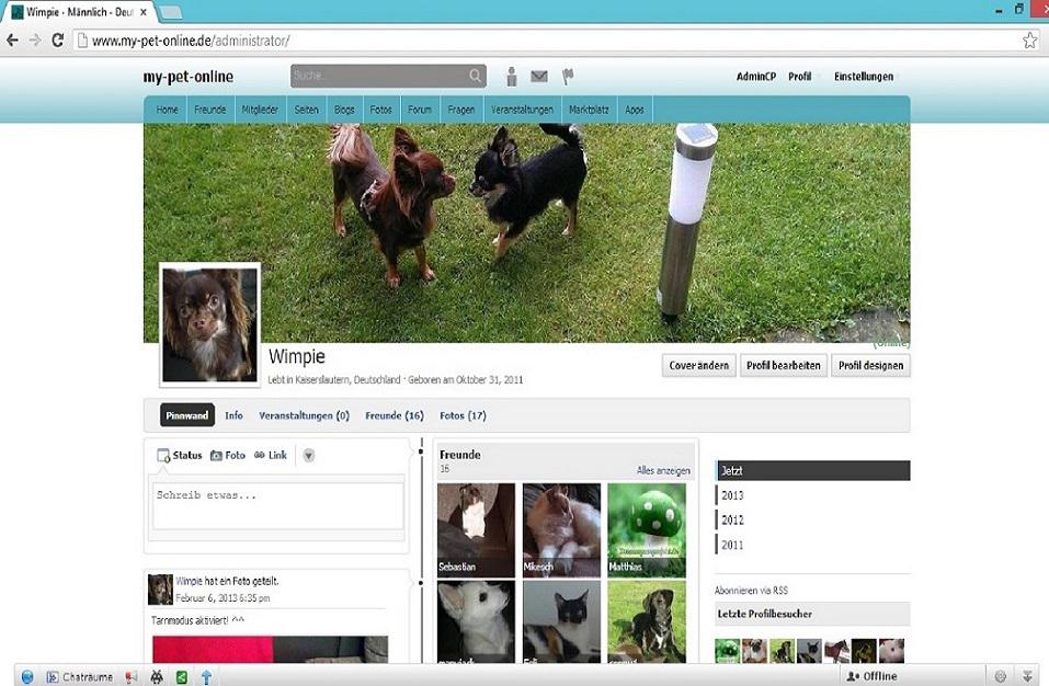 Hund, Social Media, Netzwerk, Profil